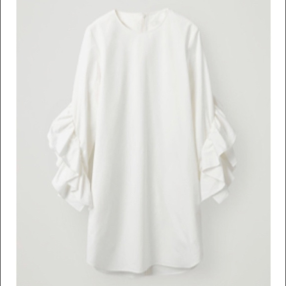 COS Dress with Sleeve Ruffles NWT Size 6